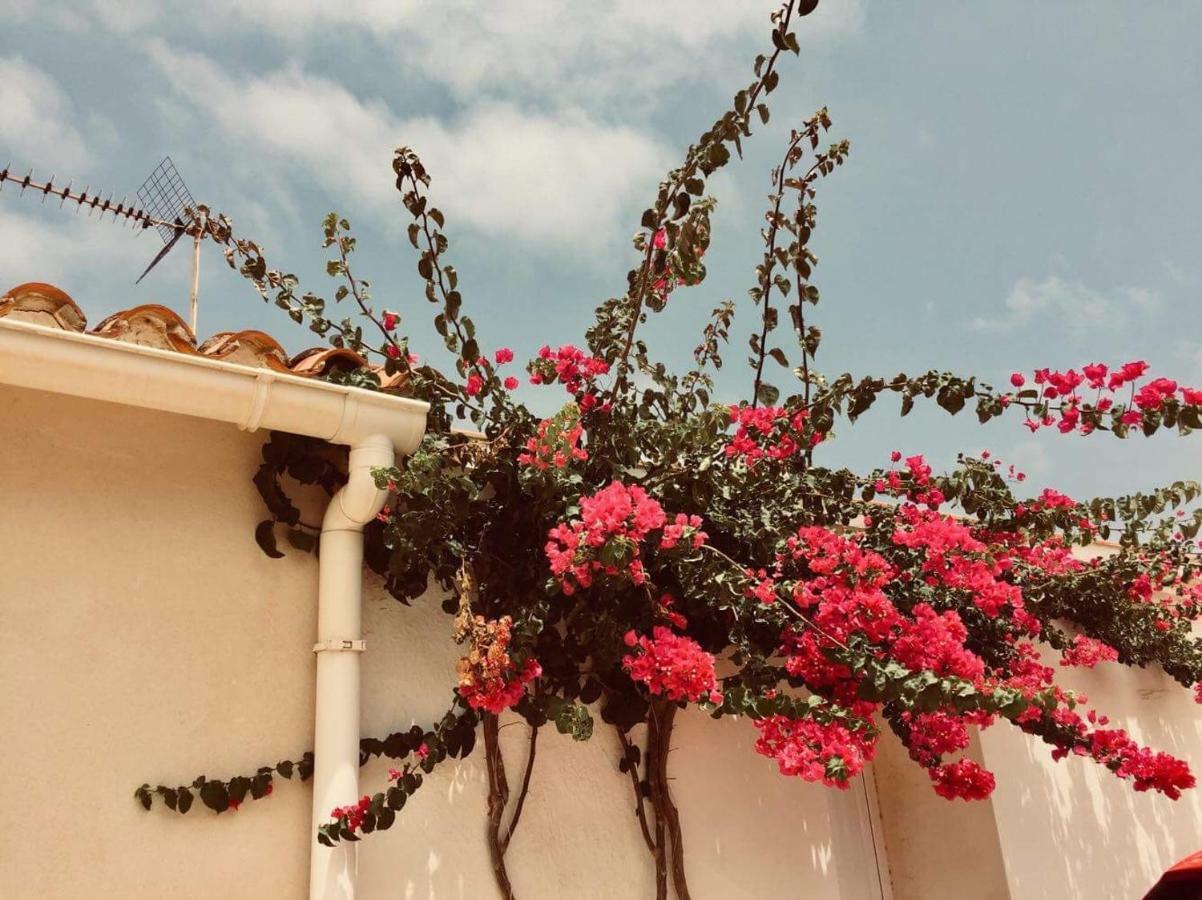 Lovely Apartment Old Town Denia Exteriör bild